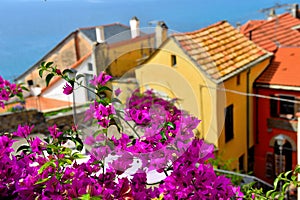 Ligurian village of Cervo Italy