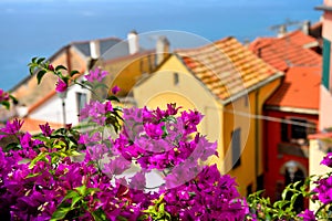 Ligurian village of Cervo Italy