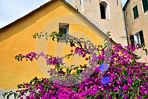 Ligurian village of Cervo Italy