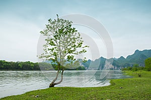 Lijiang River on both sides of the pastoral scenery