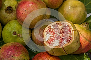 Lijiang, Yunnan Shuhe ------- pomegranate fruit healthy food