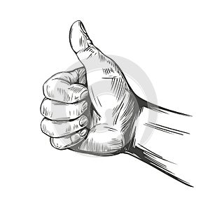 like and dislike, thumbs up sign icon. hand drawn vector illustration realistic sketch