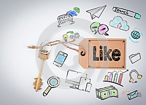 Like. Key on a white background