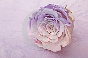 Lila and pink bi color rose luxury card photo