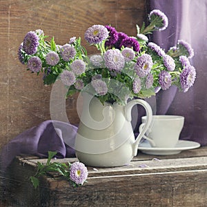 Lilac asters