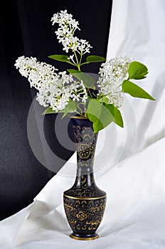 Lilac bouquet black amphora