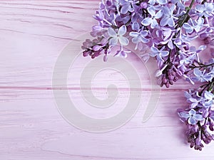 Lilac branch nature decorate on a pink wooden background, frame