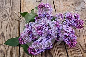 Lilac branch on old gray boards
