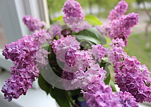 A bunch of Lilac brining the mood of spring