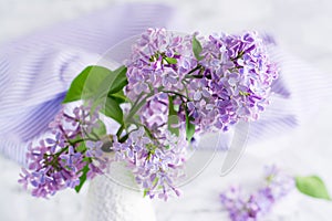 Lilac branch in a white vase close-up. Spring blooming background. Selective focus