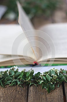 Lilac branches on a wooden background with a book. photo