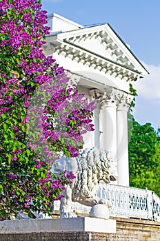Lilac bushes building column palace porch stairs statue Lions park summer leaves flowers trees forest beauty