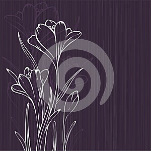 Lilac design with crocus