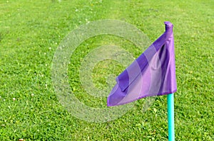 Lilac flags on the green grass of a football playing field.