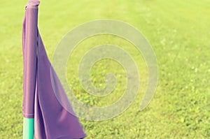 Lilac flags on the green grass of a football playing field.