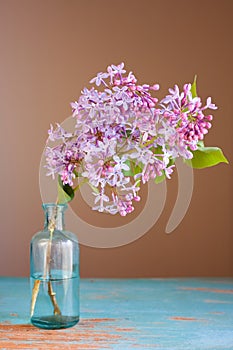 Lilac flower