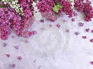 Lilac flower blossom romantic gray concrete background frame seasonal greeting