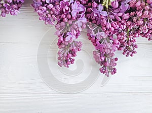 Lilac flower  blossom springtime  seasonal  white wooden background frame celebration