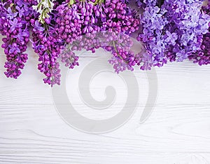 Lilac flower bouquet blossom springtime seasonal white wooden background frame celebration