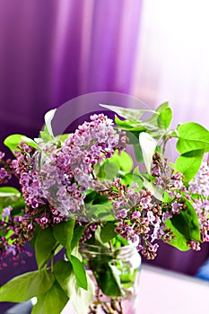 Lilac flower bouquet on purple background