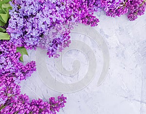 Lilac flower on concrete background frame seasonal