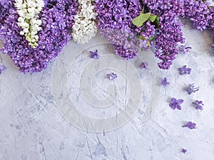 Lilac flower gray concrete background frame seasonal greeting
