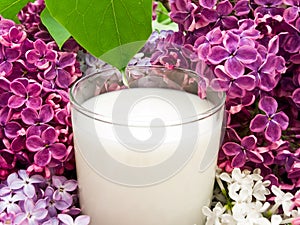 Lilac flower and milk