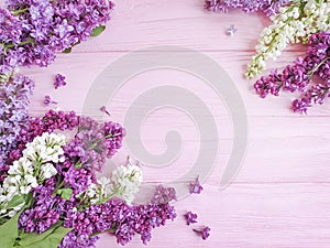 Lilac flower on pink wooden background frame