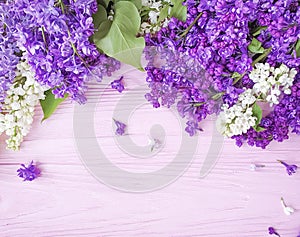 Lilac flower on pink wooden background frame romantic