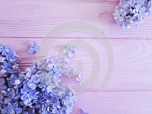 Lilac flower on a pink wooden background springtime