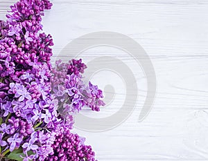 Lilac flower springtime  seasonal  white wooden background frame celebration