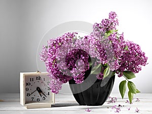 Lilac flower photo