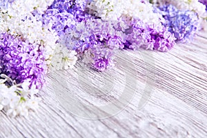 Lilac Flower Wood Background, Blooms Pink Color Flowers