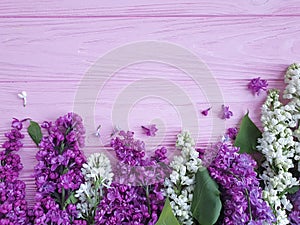 Lilac flower on a wooden background frame