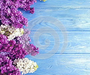 lilac flower  a wooden background frame arrangement