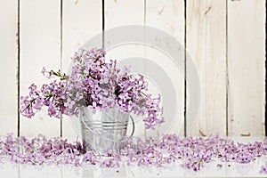 Lilac flowers