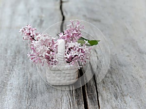 Lilac flowers.