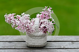 Lilac flowers.