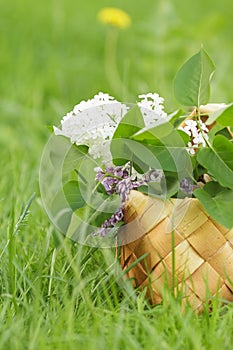 Lilac flowers in birchbark basket on grass photo