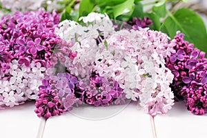 Lilac Flowers Bouquet