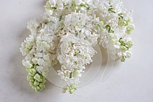 Lilac flowers bunch in a basket over blurred wood background