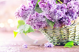 Lilac flowers bunch in a basket over blurred wood background