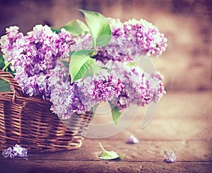 Lilac flowers bunch on white planks wood background