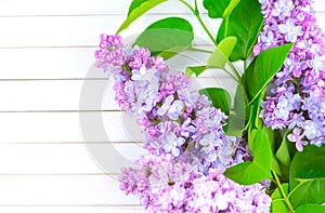 Lilac flowers bunch on white wooden background