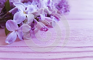 Lilac flowers composition macro color border vintage pink wooden spring beautiful