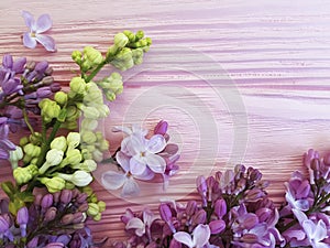 Lilac flowers composition template color border vintage pink wooden spring beautiful