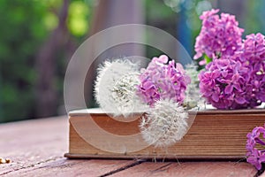 Lilac flowers and dandelions lying on old book