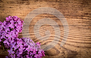 Lilac flowers on dark brown wood table