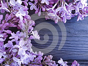 Lilac flowers decoration season design on a dark blue wooden background beautiful