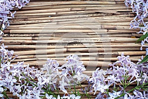 Lilac flowers on dry reed background